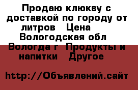 Продаю клюкву с доставкой по городу от 5 литров › Цена ­ 180 - Вологодская обл., Вологда г. Продукты и напитки » Другое   